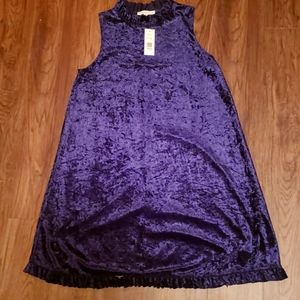 NWT navy blue crushed velvet dress